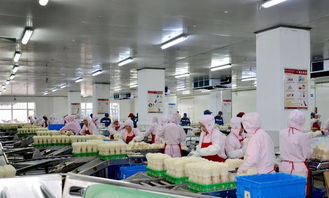 長(zhǎng)春高榕生物科技 深耕食用菌產(chǎn)業(yè) 用科技還原生態(tài)之美