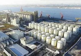 中糧集團在烏克蘭打造現代化糧油樞紐，助推全球供應鏈穩定發展