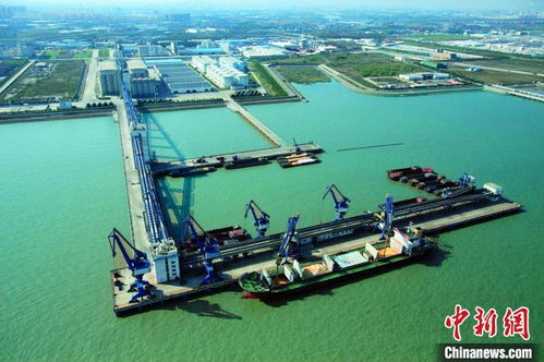 上海邊檢開辟查驗綠色通道，助力入境糧油民生物資高效中轉倉儲