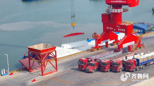 借力運河優勢，齊魯糧油媒體行聚焦江北現代糧食物流園——打造“北糧南運”高效大通道